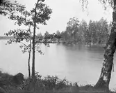 Sjö. Torsåkertrakten.