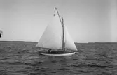Gävle Segelsällskap. År 1925. Norrlandsregattan i Sundsvallsfjärden, bl.a. runt Alnön.
