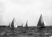 Gävle Segelsällskap. År 1925. Norrlandsregattan i Sundsvallsfjärden, bl.a. runt Alnön.
