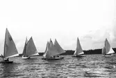Gävle Segelsällskap. År 1925. Norrlandsregattan i Sundsvallsfjärden, bl.a. runt Alnön.
