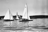 Gävle Segelsällskap. År 1925. Norrlandsregattan i Sundsvallsfjärden, bl.a. runt Alnön. Alnö med Sundsvalls Segelsällskaps klubbhus Vindhem i bakgrunden
