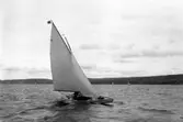Gävle Segelsällskap. År 1925. Norrlandsregattan i Sundsvallsfjärden, bl.a. runt Alnön.
