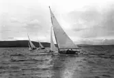 Gävle Segelsällskap. År 1925. Norrlandsregattan i Sundsvallsfjärden, bl.a. runt Alnön.