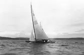 Gävle Segelsällskap. År 1925. Norrlandsregattan i Sundsvallsfjärden, bl.a. runt Alnön.