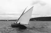 Gävle Segelsällskap. År 1925. Norrlandsregattan i Sundsvallsfjärden, bl.a. runt Alnön.