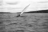 Gävle Segelsällskap. År 1925. Norrlandsregattan i Sundsvallsfjärden, bl.a. runt Alnön.