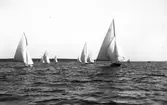 Gävle Segelsällskap. År 1925. Norrlandsregattan i Sundsvallsfjärden, bl.a. runt Alnön.