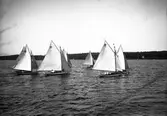 Gävle Segelsällskap. Seglingar. Lördagen den 28 juli 1906. 