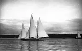 Gävle Segelsällskap. Norrlandsregattan.  År 1928.  Gefle Segelsällskap stod som arrangör för Norrlandsregattan.