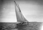 Gävle Segelsällskap. Norrlandsregattan.  År 1928.  Gefle Segelsällskap stod som arrangör för Norrlandsregattan.