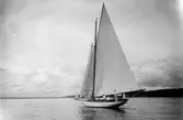 Gävle Segelsällskap. Norrlandsregattan.  År 1928.  Gefle Segelsällskap stod som arrangör för Norrlandsregattan.