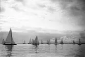 Gävle Segelsällskap. Norrlandsregattan.  År 1928.  Gefle Segelsällskap stod som arrangör för Norrlandsregattan.