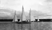 Gävle Segelsällskap. Norrlandsregattan.  År 1928.  Gefle Segelsällskap stod som arrangör för Norrlandsregattan.