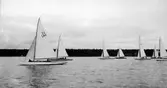Gävle Segelsällskap. Norrlandsregattan.  År 1928.  Gefle Segelsällskap stod som arrangör för Norrlandsregattan.