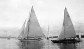 Gävle Segelsällskap. Norrlandsregattan.  År 1928.  Gefle Segelsällskap stod som arrangör för Norrlandsregattan.