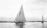 Gävle Segelsällskap. Norrlandsregattan.  År 1928.  Gefle Segelsällskap stod som arrangör för Norrlandsregattan.