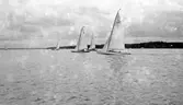 Gävle Segelsällskap. Norrlandsregattan.  År 1928.  Gefle Segelsällskap stod som arrangör för Norrlandsregattan.
