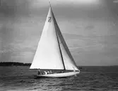 Gävle Segelsällskap. Seglingarna 1931.
