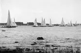 Gävle Segelsällskap. Seglingarna 1931.
