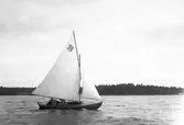 Gävle Segelsällskap. Seglingar.