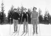 Tre män på skidor