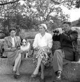 Två kvinnor, hund och man med kikare
