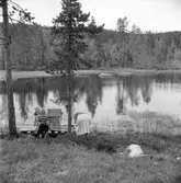 Utflykt till en sjö

