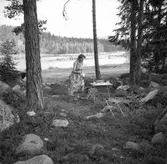 Utflykt med bilen till en sjö

