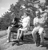 Två damer och en man på bänken

