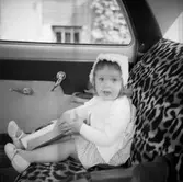 Fröken Sundberg i bilen

