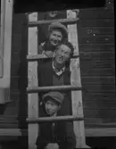 Fyra ungdomar i en stege.