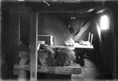 Linskäkten i Åsmundshyttans by (tröskloge, nu frörenseri/tork). Foto 1920-tal.