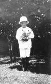 Liten pojke med kattungar i famnen. Foto år 1916.