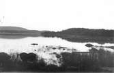 Troligen en vik av sjön Varpen. Foto omkring 1918.