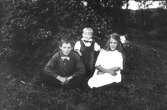 Barnen i Lenninge 3:13. Från vänster Gösta Olsson, född 1910, fosterbarnet Karl-Erik Jansson, född 1921 och Sonja Olsson, född 1912.