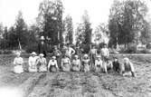 Gallring av rovor. I främre raden från vänster: nr 5 Anna Larsson, Lenninge 5:29, född 1904, nr 6 Astrid Hall, Lenninge 10:1, född 1901, nr 8 Linnéa Wärn, nr 9 Gösta Olsson, Lenninge 3:13, född 1910. Bakre raden från vänster: nr 3 Knut Sundberg från Granberg, nr 4 Verner Hall, Lenninge 10:1, född 1904 och nr 5 Erik Olsson, Lenninge 3:13, född 1906.