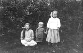 Smehammars barn, Lenninge 6:32. Anna född 1901, Sixten född 1914 och Elin född 1907, alla med efternamnet Larsson.