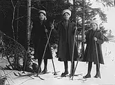 Från vänster: okänd flicka, Ester Lindberg och Elvira Lindberg på skidor.