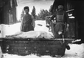 Östansjö, Lindbergs slaktar gris.