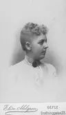 1890
Geflebo