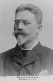 Bankdirektör David Carlsson.