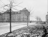 Brynäs Folkskola invigdes 1905.





