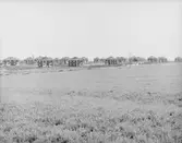 Avesta ligger i det sydöstra hörnet av landskapet Dalarna.

Ingår också i enheten Bergslagen, som är ett sammanfattande namn på hela området som härrör från 1600-talet.

Avesta har anknytning både till koppar- och järnbergslagen



