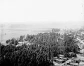 Sandvikens Jernverks AB. Företaget grundades  i Sandviken av Göran Fredrik Göransson år 1862,
och hette då Högbo Stål & Jernwerks AB.
Tillverkning av Band, tråd och sömlösa rör blev stora produkter. Även produktion av färdiga produkter - manufakturtillverkning, kom tidigt i gång.
År 1920 anskaffades den första elektrostålugnen till Sandviken. Bilden är tagen från den 60 meter höga skorstenen. Mot Sandviken centrum



