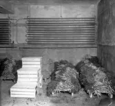 J. E. Ohlséns Enke AB. Trädgårdscentralen
Den 8 september 1944
Enligt adresskalendern år 1930 finns en affär på Norra Slottsgatan 8

