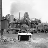 Vägbeläggning, Hillevägen. 15 juni 1950.


