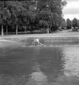 Badreportage, Stenebergsparken. Gävle 17 juni 1950.
