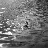 Badreportage, Engesberg. Gävle 17 juni 1950.
