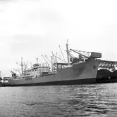 Gävle Hamn. Fartygen 