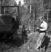 Vägbygge några mil norr om Storvik. Augusti 1950. Reportage för Gefle Dagblad och Norrlands Posten.

